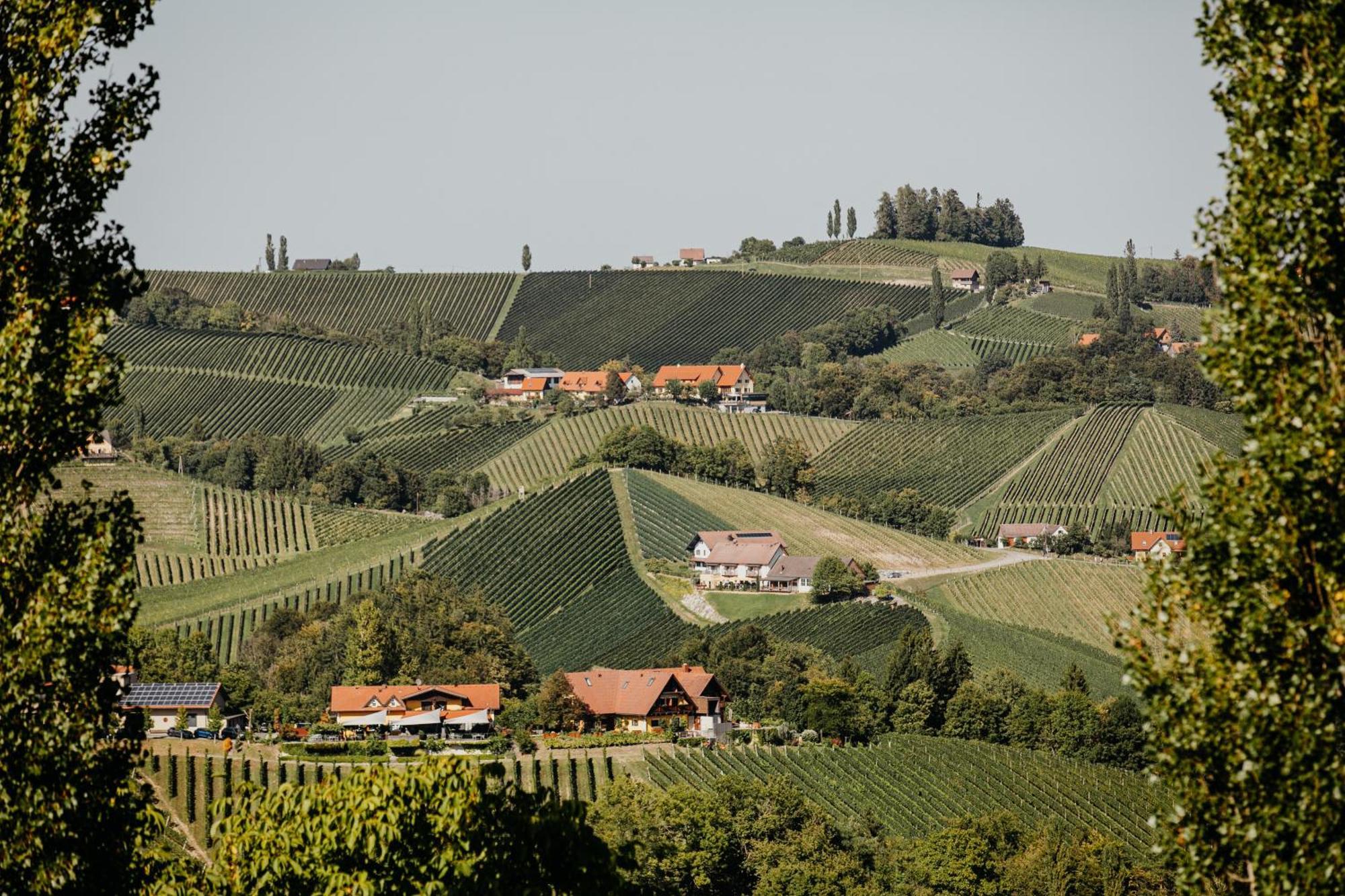 Ferienhaus Am Herbsthof Leutschach Exteriér fotografie