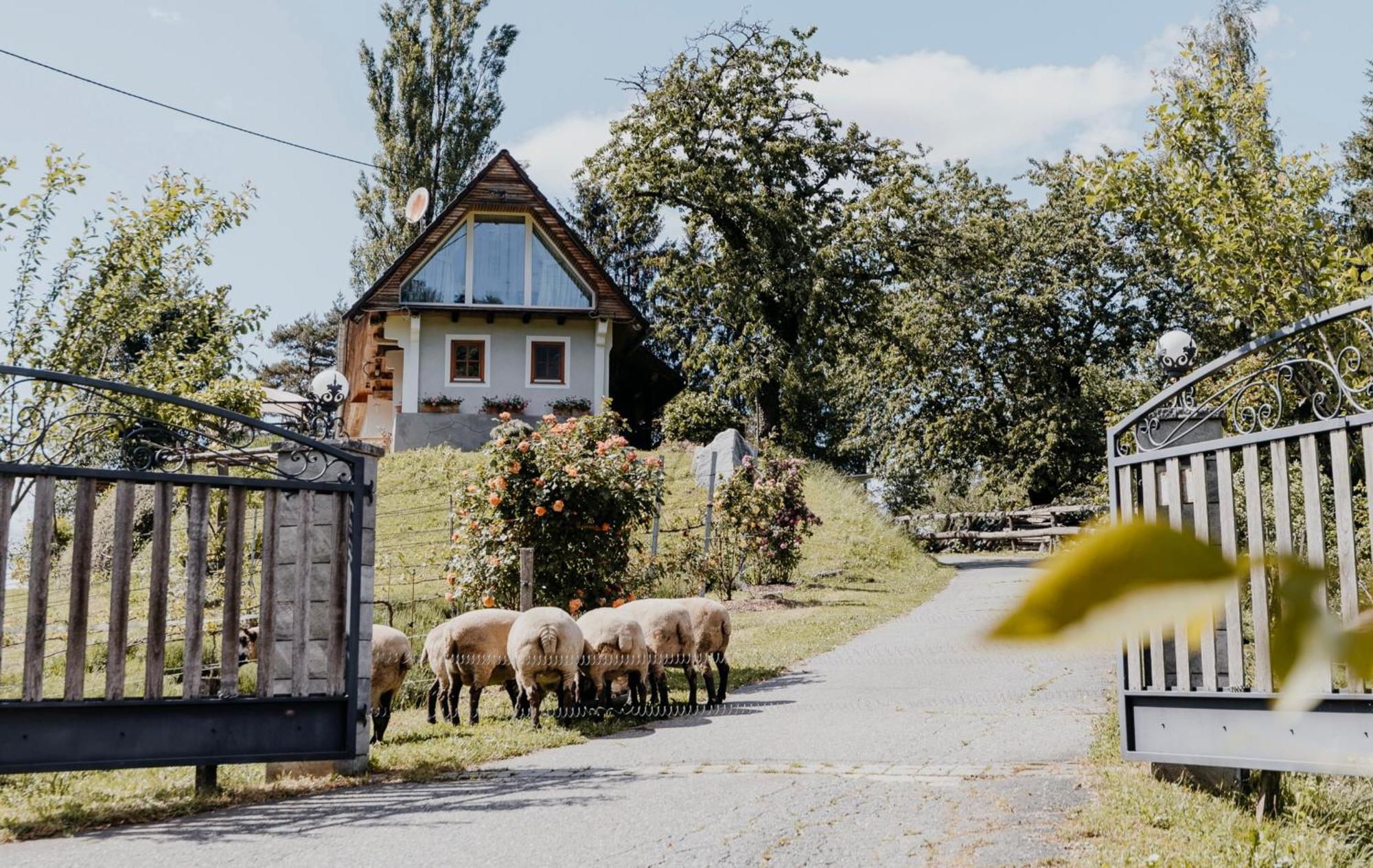Ferienhaus Am Herbsthof Leutschach Exteriér fotografie