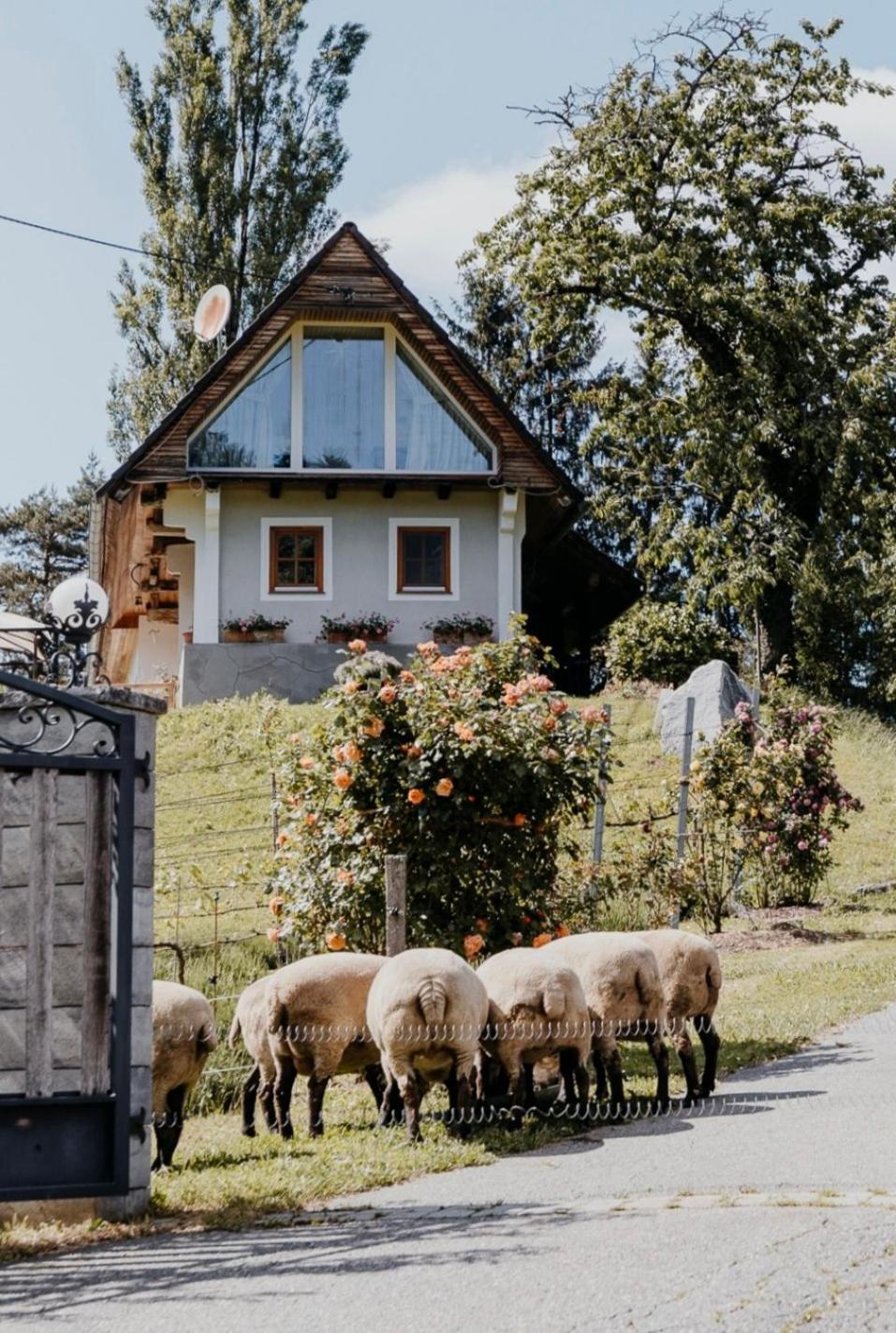 Ferienhaus Am Herbsthof Leutschach Exteriér fotografie